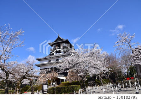 日本の愛知県の犬山市 春の犬山城と満開の桜 日本最古の国宝天守と美しい青空 日本の愛知県の犬山市 春の犬山城と満開の桜 日本最古の国宝天守と美しい青空 130182795