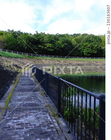 池の遊歩道 130183607