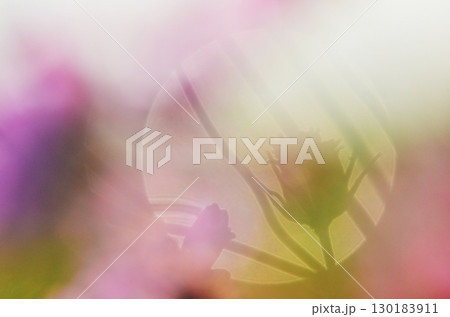 四季折々に咲く花の魅力 四季折々に咲く花の魅力 130183911