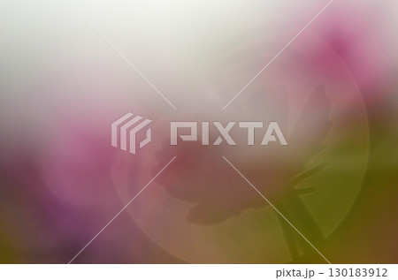 四季折々に咲く花の魅力 130183912