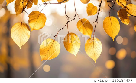 《AI画像》紅葉した葉っぱ 130184477