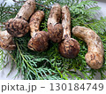 天然・松茸 130184749