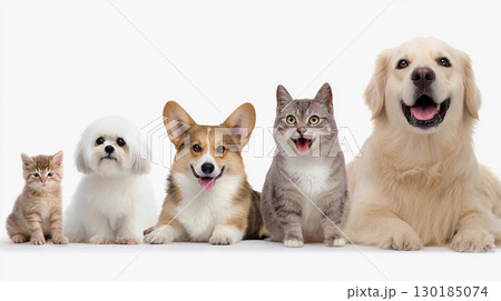 犬と猫が一列に並んで笑顔を見せるほのぼの集合写真 130185074