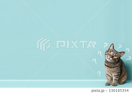 疑問符に囲まれた猫のユニークな座り姿 130185354