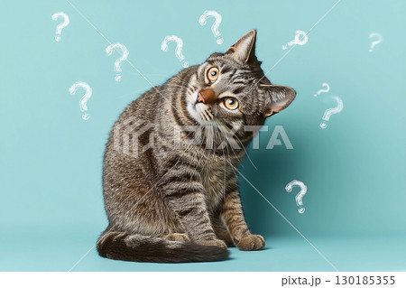 疑問符に囲まれた猫のユニークな座り姿 130185355