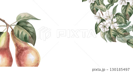 Rectangular frame with corner elements of pear branches and fruits. Isolated watercolor illustration of fruits for product line design, kitchenware design, seasonal menu, postcards, textiles,. Rectangular frame with corner elements of pear branches and fruits. Isolated watercolor illustration of fruits for product line design, kitchenware design, seasonal menu, postcards, textiles,. 130185497