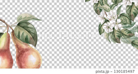 Rectangular frame with corner elements of pear branches and fruits. Isolated watercolor illustration of fruits for product line design, kitchenware design, seasonal menu, postcards, textiles,. Rectangular frame with corner elements of pear branches and fruits. Isolated watercolor illustration of fruits for product line design, kitchenware design, seasonal menu, postcards, textiles,. 130185497