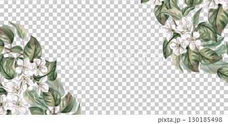 Rectangular frame with corner elements made of pear branches. Isolated watercolor illustration of fruits for product line design, kitchenware design, seasonal menu, cards, textiles, clothing printing. Rectangular frame with corner elements made of pear branches. Isolated watercolor illustration of fruits for product line design, kitchenware design, seasonal menu, cards, textiles, clothing printing. 130185498