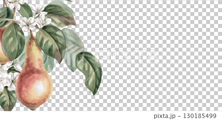 Rectangular frame with ripe pears in foliage. Isolated watercolor illustration of fruits for product line design, kitchenware design, seasonal menu, postcards, textiles, clothing printing. 130185499