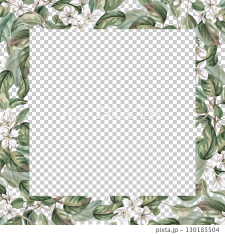 Square frame with blooming pear branches. Isolated watercolor fruit illustration for product line design, kitchenware design, seasonal menu, postcards, textiles, clothing printing. 130185504