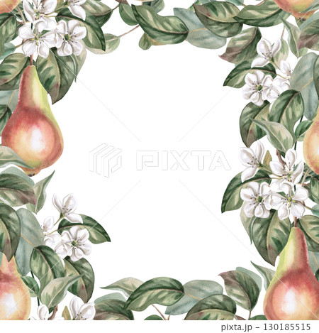 Square frame with flowering branches and pear fruits. Isolated watercolor illustration of fruits for product line design, kitchenware design, seasonal menu, postcards, textiles, clothing printing. 130185515