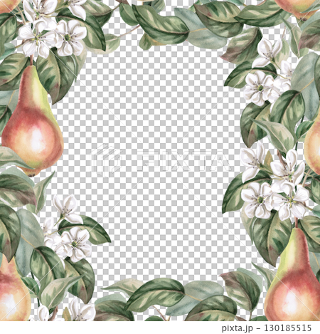 Square frame with flowering branches and pear fruits. Isolated watercolor illustration of fruits for product line design, kitchenware design, seasonal menu, postcards, textiles, clothing printing. 130185515