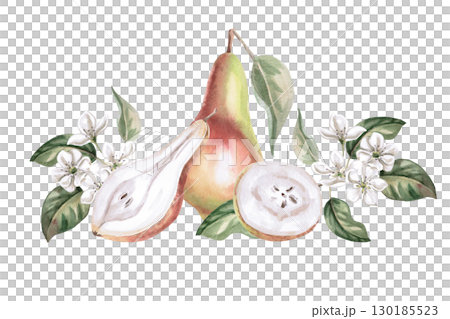 Composition with whole pear, parts and flowers. Isolated watercolor illustration of fruits for product line design, kitchenware design, seasonal menu, cards, textiles, clothing printing. Composition with whole pear, parts and flowers. Isolated watercolor illustration of fruits for product line design, kitchenware design, seasonal menu, cards, textiles, clothing printing. 130185523