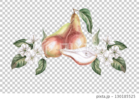 Composition with whole pears, half and flowers. Isolated watercolor illustration of fruits for product line design, kitchenware design, seasonal menu, postcards, textiles, clothing printing. 130185525