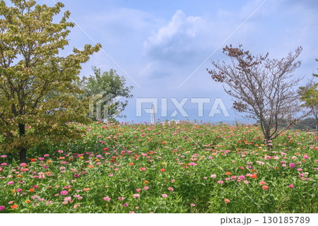 花園の風景 130185789
