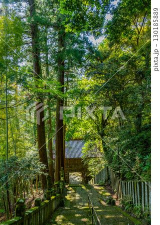 摩尼寺 参道 鳥取県鳥取市覚寺 摩尼寺 参道 鳥取県鳥取市覚寺 130185889