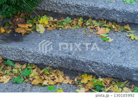 Concrete, stone, large steps of wide street staircase, between which autumn fallen yellow dry leaves of trees have accumulated. A symbol of onset of seasonal changes in nature and weather. 130185992