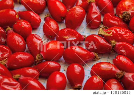 Freshly harvested red ripe juicy rosehip fruits lie in close-up on a sheet of a checkered notebook for drying and use in folk medicine. Natural components in pharmacology, vitamin C. 130186013