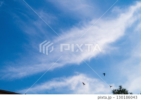 Landscape: A background of blue sky with blurred particles of clouds or other components in the upper atmosphere flowing in the wind. Displacement, the passage of time, abstract manifestations Landscape: A background of blue sky with blurred particles of clouds or other components in the upper atmosphere flowing in the wind. Displacement, the passage of time, abstract manifestations 130186043