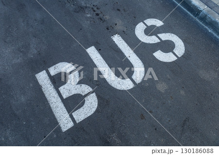 Bold white lettering clearly marks the bus stop area on the pavement in an urban setting under bright daylight 130186088