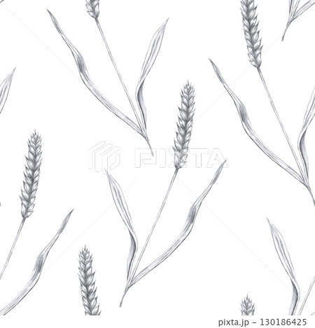 Seamless pattern with ears of wheat. Hand drawn pencil illustration on the theme of harvest for interior design, menu, packaging, beer festivals, harvest and parties. Seamless pattern with ears of wheat. Hand drawn pencil illustration on the theme of harvest for interior design, menu, packaging, beer festivals, harvest and parties. 130186425