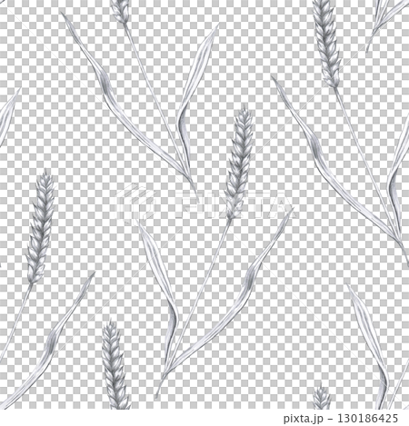 Seamless pattern with ears of wheat. Hand drawn pencil illustration on the theme of harvest for interior design, menu, packaging, beer festivals, harvest and parties. 130186425
