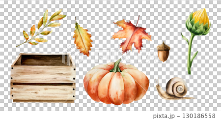 Watercolor pumpkins, snail, sunflower, maple, oak leafs, wooden box, painted in rustic orange and green tones. Hand-drawn vintage storage crate, halloween autumn vegetable perfect for harvest and Watercolor pumpkins, snail, sunflower, maple, oak leafs, wooden box, painted in rustic orange and green tones. Hand-drawn vintage storage crate, halloween autumn vegetable perfect for harvest and 130186558