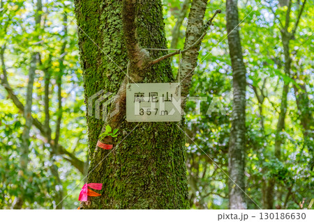 摩尼山　頂上　鳥取県鳥取市 130186630