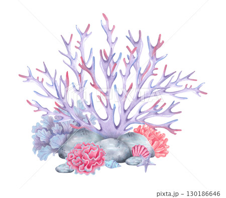 Coral reef with shells, stones and starfish. Watercolor illustration. Composition with underwater animals and pebbles. Hand drawn isolated art. Tropical ocean for marine themes and nature concepts. 130186646