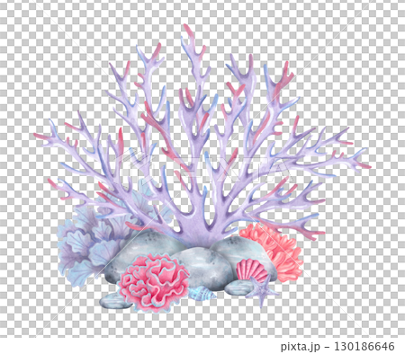 Coral reef with shells, stones and starfish. Watercolor illustration. Composition with underwater animals and pebbles. Hand drawn isolated art. Tropical ocean for marine themes and nature concepts. 130186646