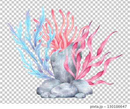 Sea stones with coral, seaweed. Watercolor illustration. Composition with underwater animals and pebbles. Hand drawn isolated art. Tropical ocean atmosphere for marine theme and travel guide design. 130186647