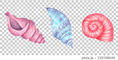 Clip art of different types of seashells. Watercolor illustrations of underwater animals. Hand drawn isolated art. Tropical ocean atmosphere for marine theme, summer decor and design projects. Clip art of different types of seashells. Watercolor illustrations of underwater animals. Hand drawn isolated art. Tropical ocean atmosphere for marine theme, summer decor and design projects. 130186648