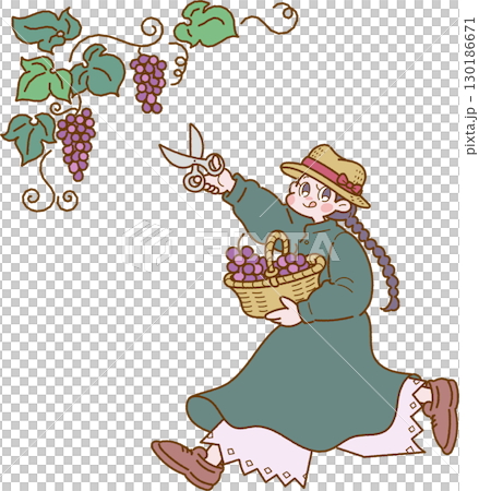 ぶどう狩りを楽しむ女性のイラスト 130186671