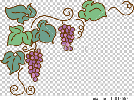 ぶどうのコーナーのあしらいのイラスト 130186673