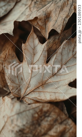 Dried leaves blossom pattern repeat nature botanical farm 130186933