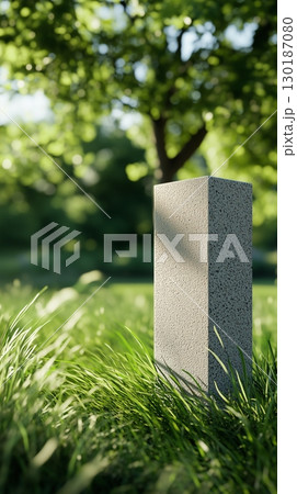 Dark background with shadow and black block stage podium story with grass 130187080