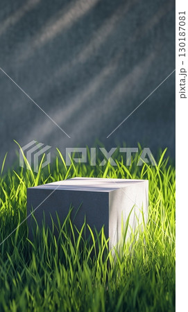 Dark background with shadow and black block stage podium story with grass 130187081