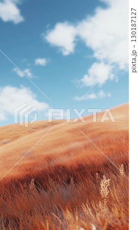 Orange grass in hills and blue-sky view, nature outdoor environment story background 130187127