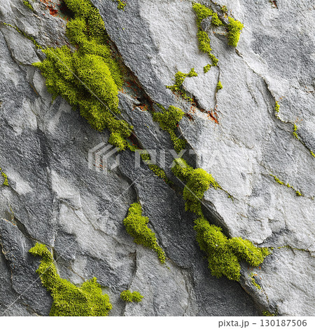 苔が生えた岩肌のテクスチャ 130187506