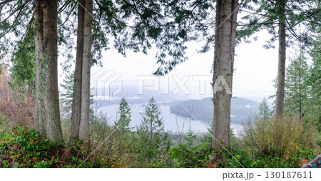 View of the mountains and waterways of Burnaby from the Burnaby Mountain Park 130187611