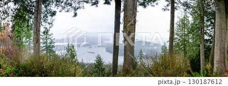 View of the mountains and waterways of Burnaby from the Burnaby Mountain Park 130187612