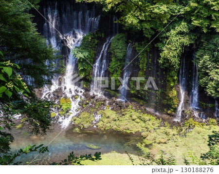 白糸の滝・静岡県 130188276