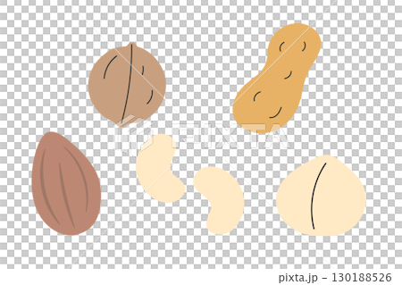 簡單可愛的堅果插畫集 130188526