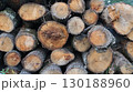 ends of cut trees with texture of dried rings and cracks in structure, natural wooden forest background, dry logs stacked on top of each other image full frame 130188960