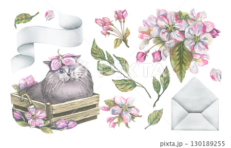 Clip art set with apple blossoms, envelope, paper scroll, and grey cat in wooden box, hand-painted watercolor illustration, perfect for scrapbooking, wedding design, invitations and DIY projects. 130189255