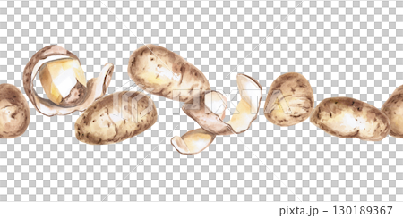Seamless border of whole potatoes and peelings. Isolated watercolor illustration on the theme of vegetables for the design of seed packaging, restaurant menus, culinary recipes. Seamless border of whole potatoes and peelings. Isolated watercolor illustration on the theme of vegetables for the design of seed packaging, restaurant menus, culinary recipes. 130189367