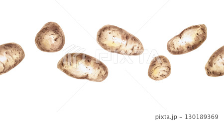 Seamless border of whole potatoes. Isolated watercolor illustration on the theme of vegetables for the design of seed packaging, restaurant menus, culinary recipes. 130189369