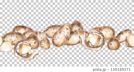 Seamless border of whole and peeled potatoes. Isolated watercolor illustration on the theme of vegetables for the design of seed packaging, restaurant menus, culinary recipes. 130189371