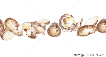 Seamless border of slices and whole potatoes. Isolated watercolor illustration on the theme of vegetables for the design of seed packaging, restaurant menus, culinary recipes. 130189374