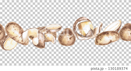 Seamless border of slices and whole potatoes. Isolated watercolor illustration on the theme of vegetables for the design of seed packaging, restaurant menus, culinary recipes. 130189374